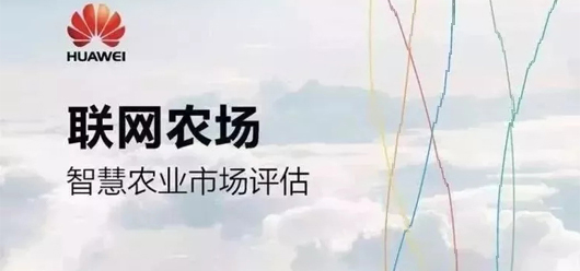乐稻-文章封面图